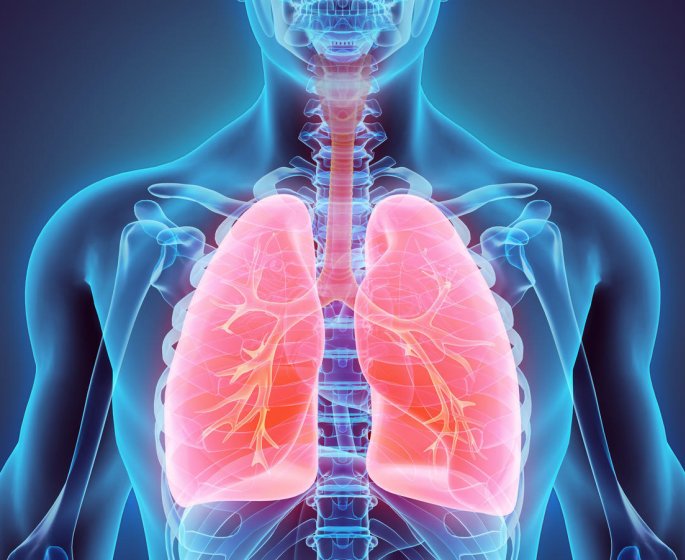 Cancer de la plevre (mesotheliome pleural) : symptomes, traitements, taux de survie