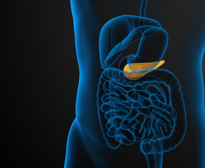 Nouvelles pompes a insuline pour traiter le diabete : comment fonctionnent-elles ? 