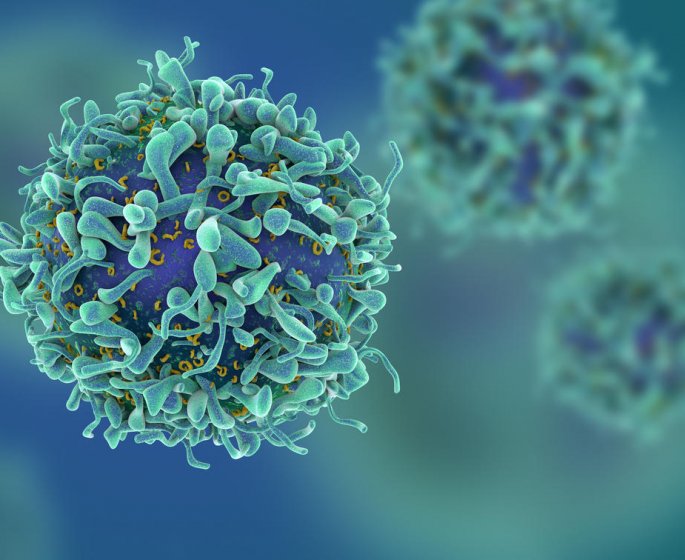 Lymphome du manteau : l-esperance de vie