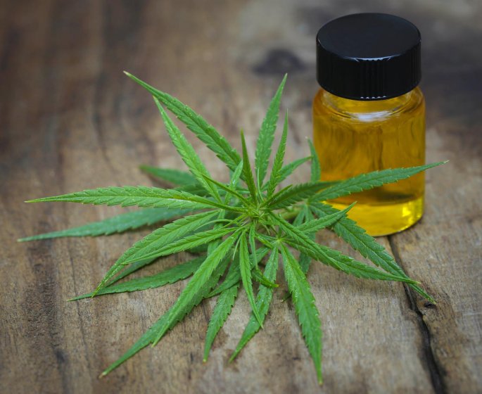 Cancer du cerveau : inhaler du CBD efficace contre le glioblastome ?