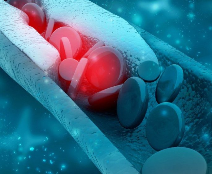 7 idees recues sur le cholesterol