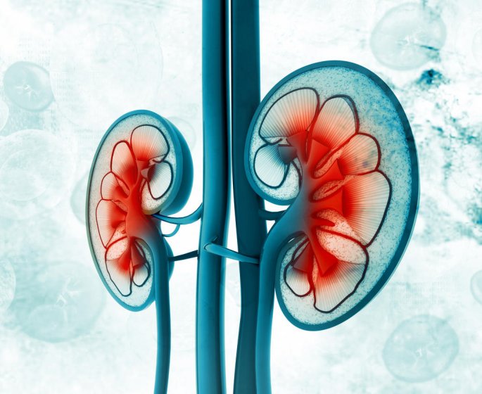 Cancer du rein : le traitement par ablation chirurgicale