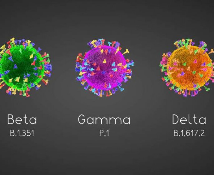 Coronavirus : combien de temps dure l-immunite entre deux infections ? 
