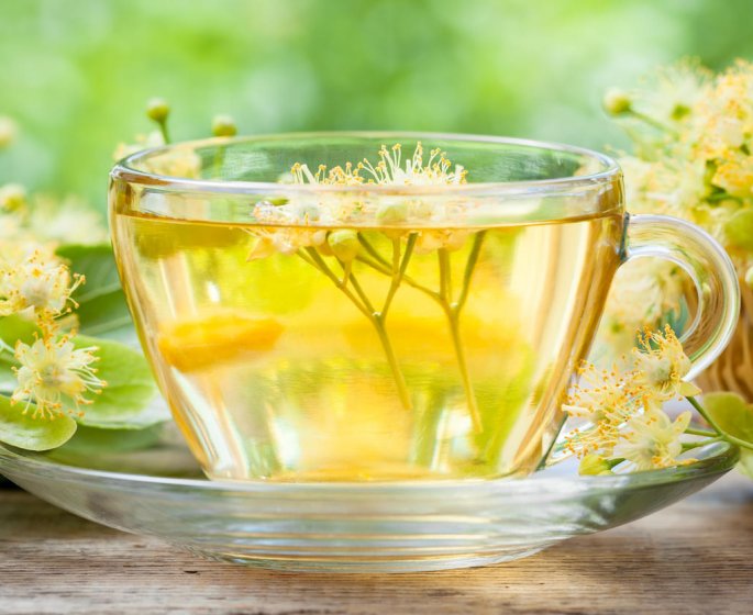 Tisane sudorifique : le bienfait du tilleul contre la bronchite