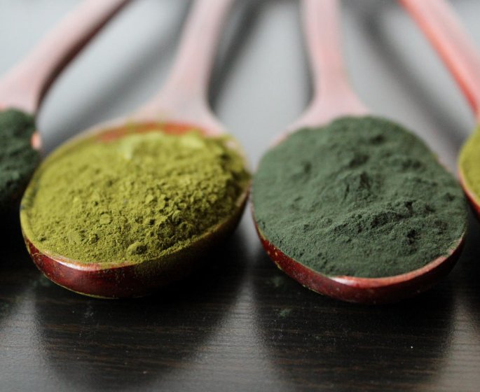 Spiruline ou chlorella : la difference entre ces deux algues