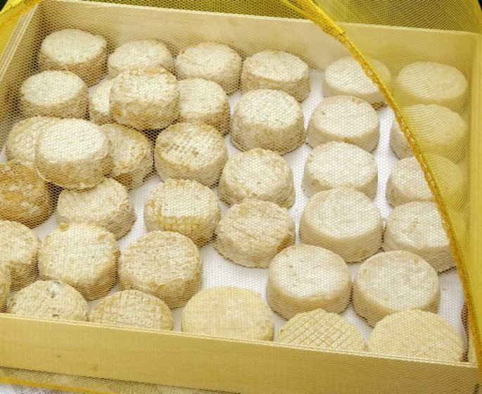 Salmonellose a cause du fromage de chevre contamine : 20 cas detectes
