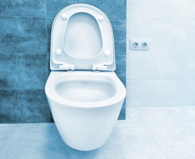 Il passe trop de temps aux toilettes et fait un prolapsus rectal