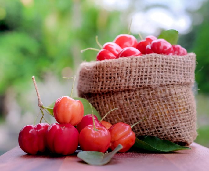 Cure de vitamine C : ou trouver de l-acerola ?