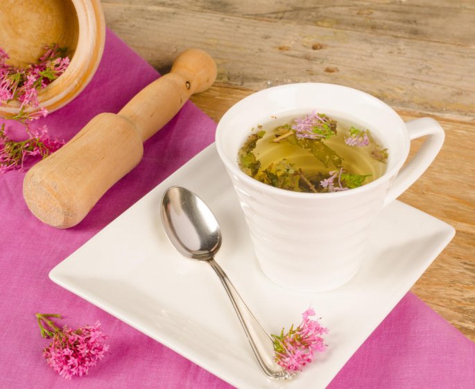 Tisane contre l-insomnie : la valeriane pour bien dormir
