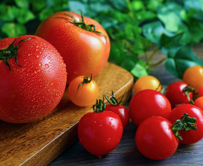 5 bonnes raisons de manger des tomates