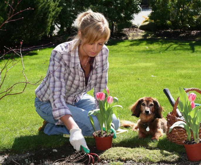 Maladie de Crohn : vivre avec un chien pourrait etre une protection contre maladie
