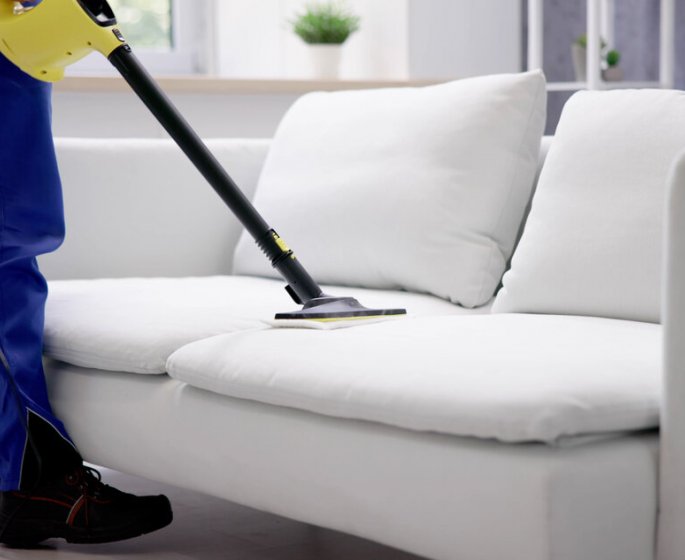 Punaises de lit : le manque d’hygiene en cause ?