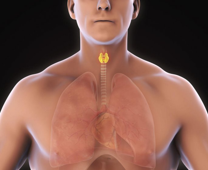 Nodule thyroidien chaud ou froid : la difference