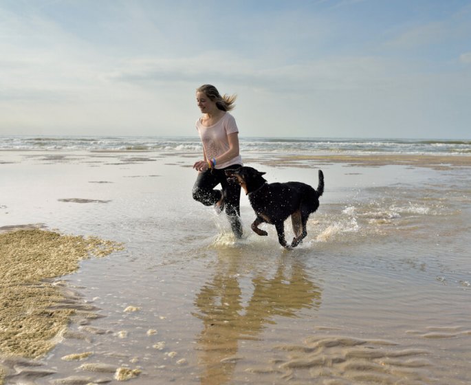 Pourquoi avoir un chien est bon pour la sante ?