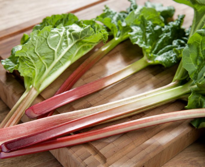 Phytotherapie : la rhubarbe contre la constipation