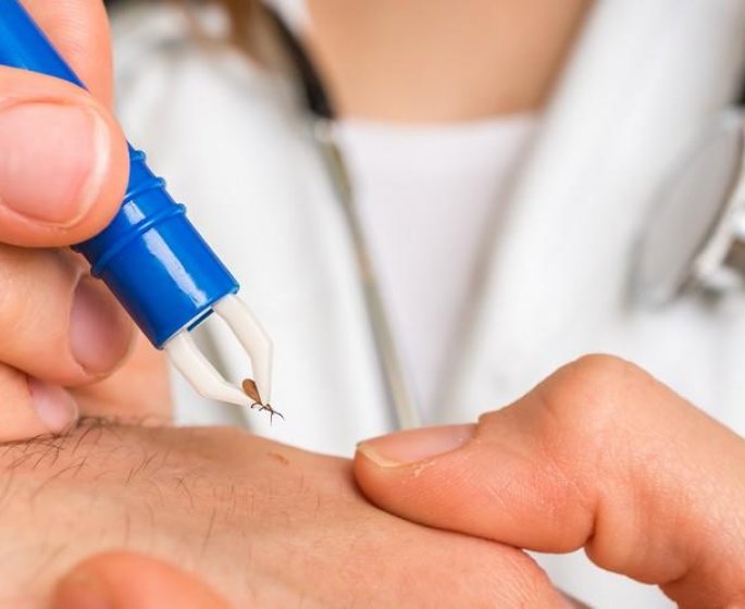 Maladie de Lyme : un vaccin prometteur, dans sa troisieme phase clinique