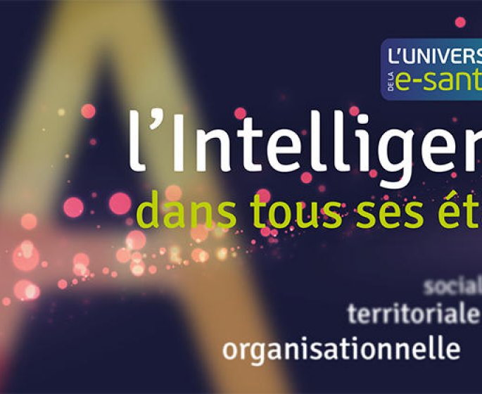 Universite d’ete de la e-sante 2018 : sous le signe de l’Intelligence Appliquee