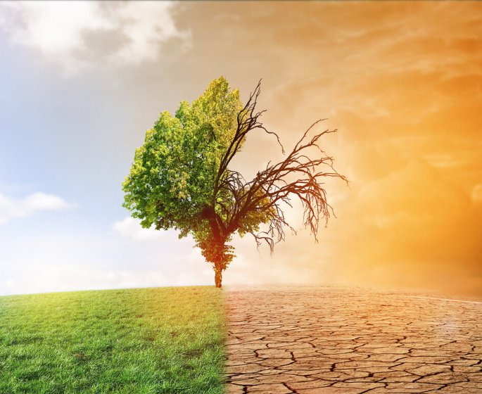 Eco-anxiete : son impact sur la sante mentale des jeunes