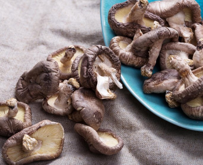 Un champignon pourrait prevenir le cancer du col de l’uterus