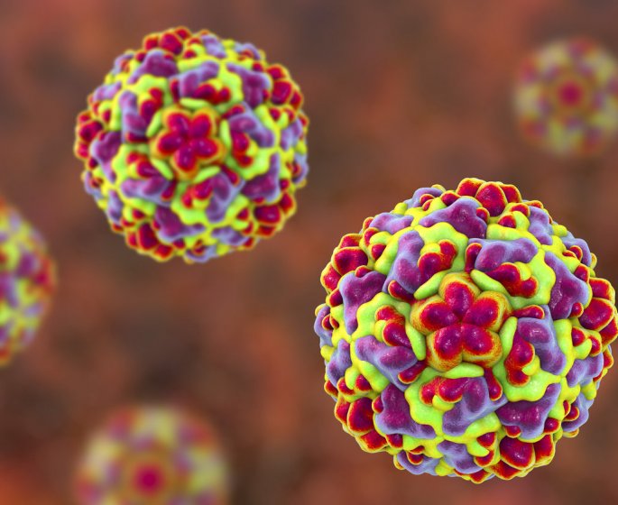 Angine virale ou bacterienne : quelles differences ?