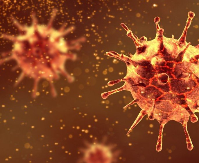 Grippe espagnole : l’ancetre de la grippe saisonniere ?