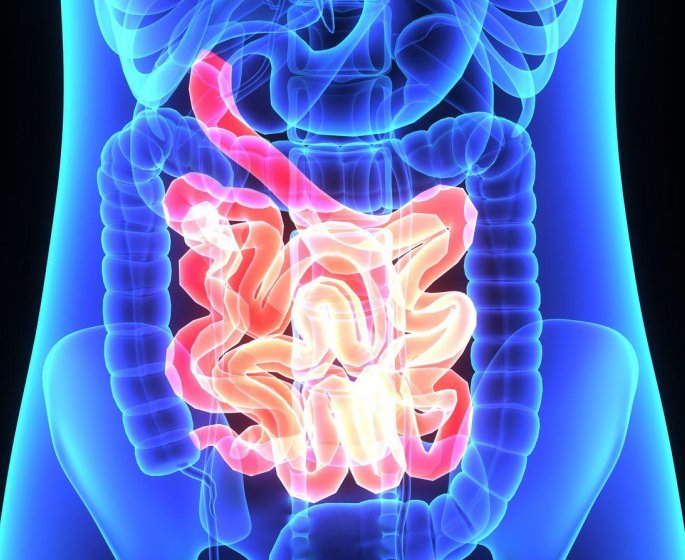 Cancer du colon : manger deux poignees de noix par semaine reduirait la recidive