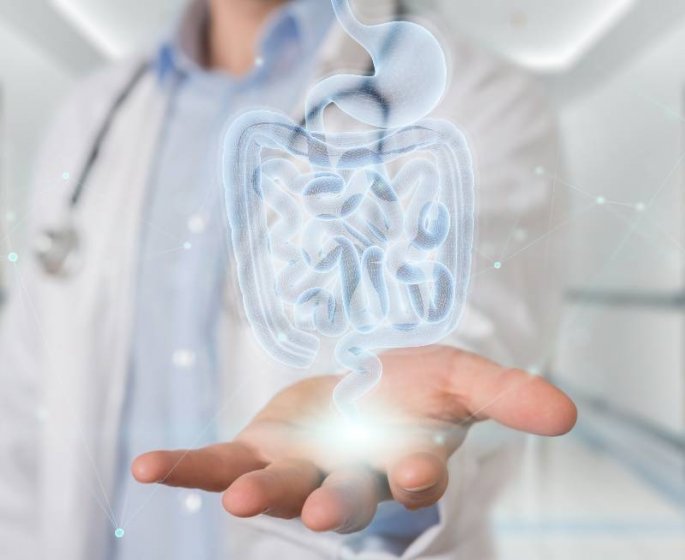 Microbiote intestinal : 10 aliments avec l-additif E415 capable de le modifier