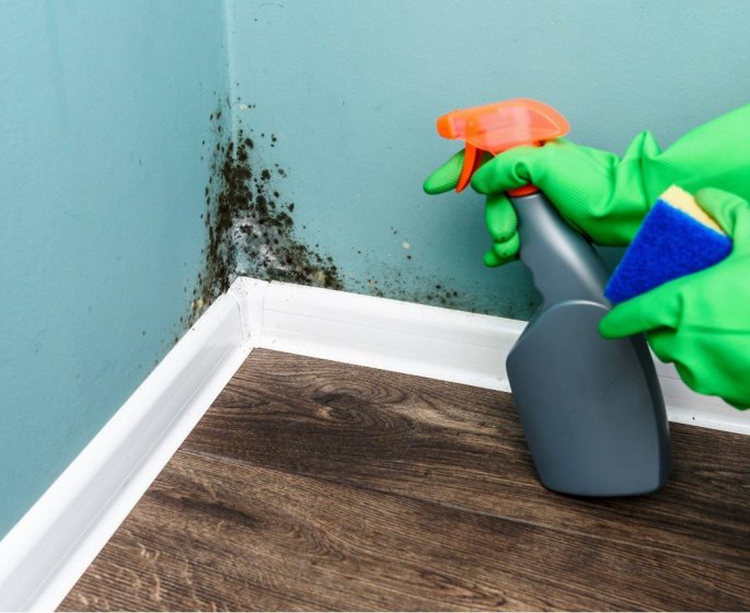 Moisissure au mur : 6 astuces pour s’en debarrasser