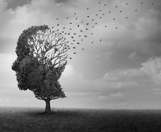 Alzheimer : 8 choses a faires si vous avez des cas dans votre famille 