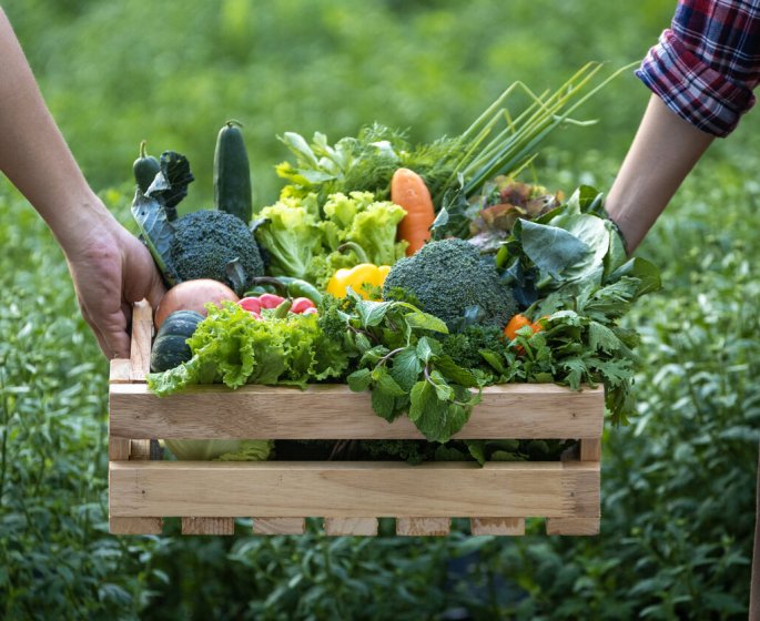 Neuf aliments a manger pour reduire le risque de cancer