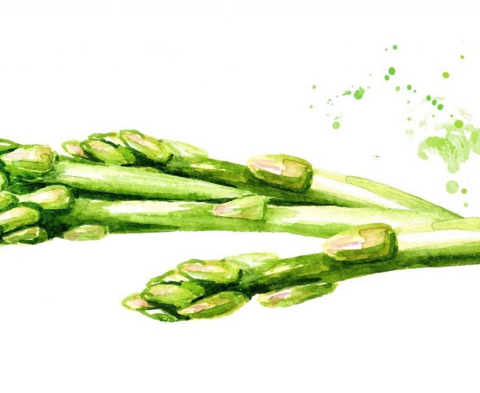 Regime : 14 aliments qui vous evitent de grossir