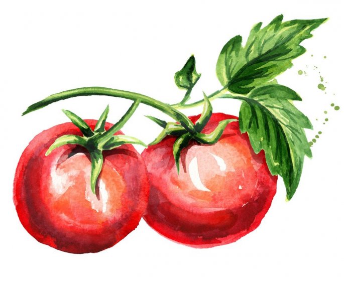 7 aliments qui augmentent l-esperance de vie 