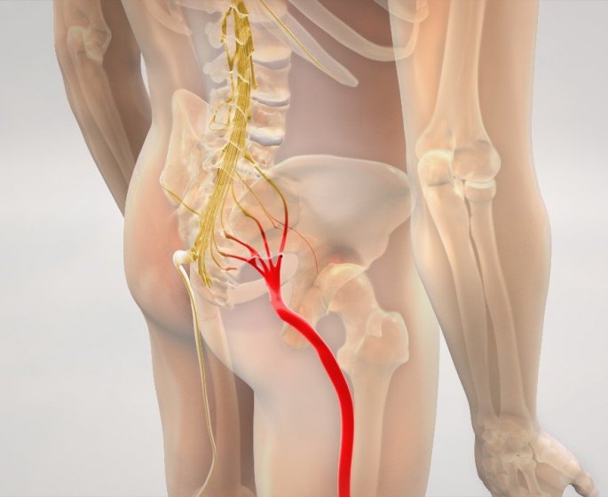 Sciatique : 5 huiles essentielles qui soulagent les douleurs