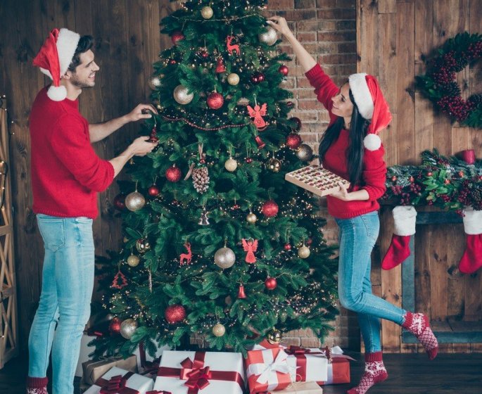 Champignons, insectes, parasites… Ce que cache vraiment votre sapin de Noel 