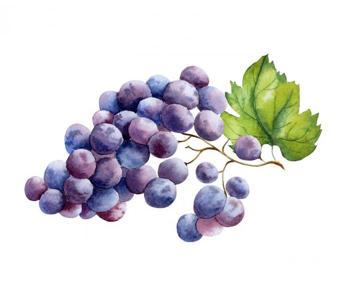 Cholesterol : 10 fruits qui peuvent vous aider a le faire baisser 