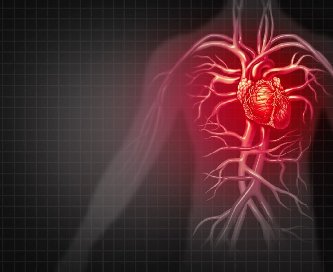 6 parties du corps qui peuvent signaler une crise cardiaque