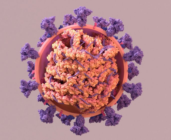 Variant indien : Pfizer et Moderna seraient efficaces contre la mutation