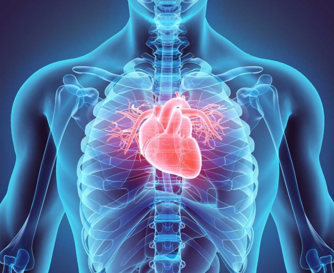 Crise cardiaque : certains symptomes surviendraient une semaine avant