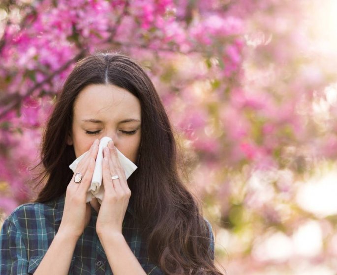 Allergie au pollen : 10 regions en alerte rouge 