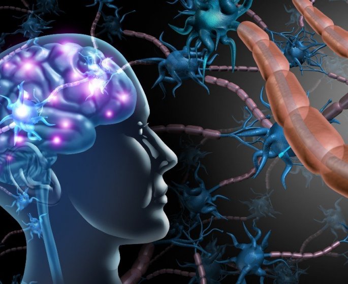 Sclerose en plaques : les aliments riches en fibres peuvent retarder les symptomes