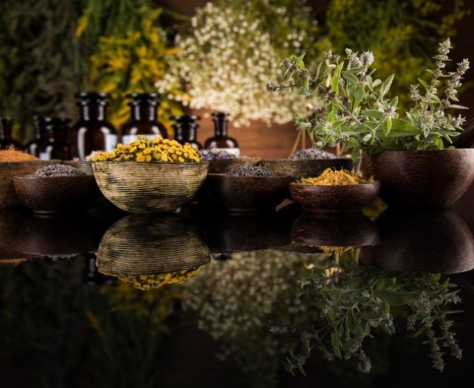Phytotherapie : 9 plantes medicinales a faire pousser 