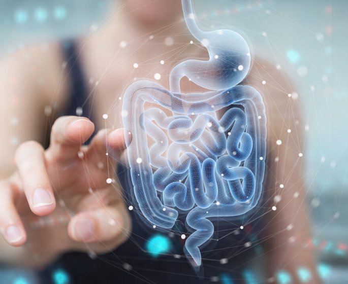 Intestins : 5 aliments populaires qui leur nuisent 