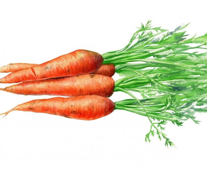 11 aliments qui feront chuter vos triglycerides 