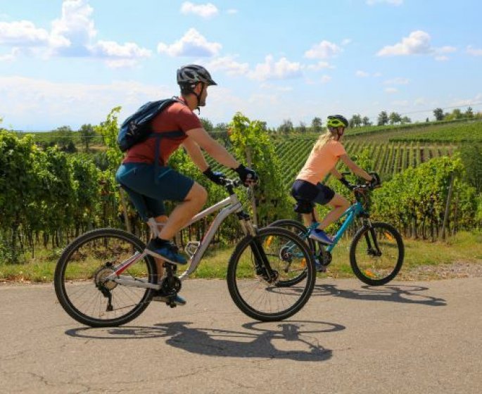 Prairies, vignes, forets, les sols francais les plus touchees par les microplastiques 