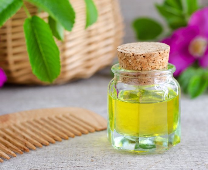 6 plantes medicinales qui ralentissent la chute des cheveux