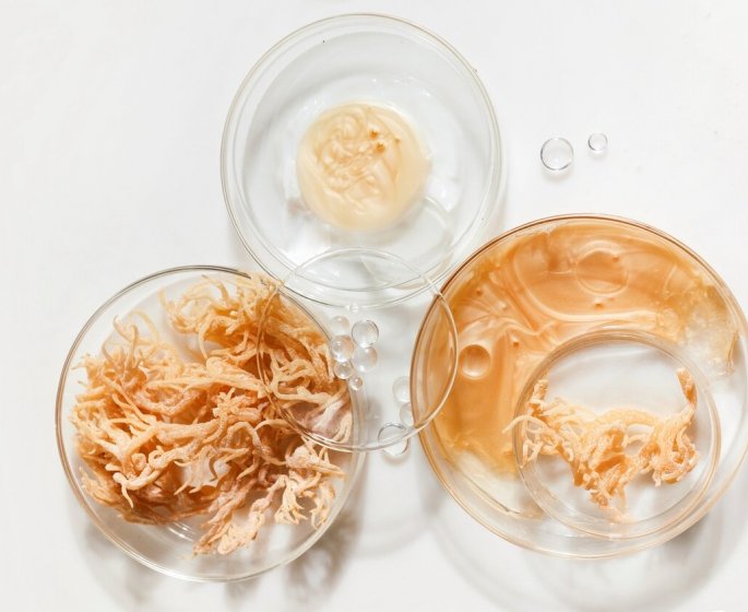C-est quoi la mousse de mer que l-on voit partout et quels sont vraiment ses bienfaits ?