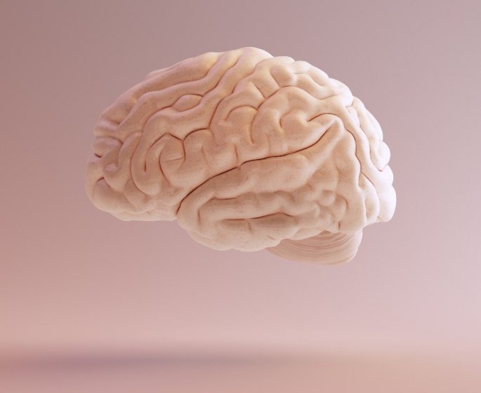 Les 9 formes de tumeurs cerebrales