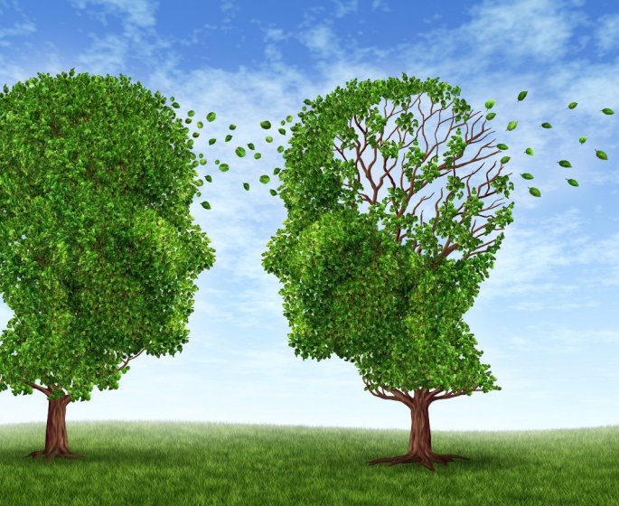 Alzheimer : 5 bonnes habitudes pour retarder la maladie de 6 ans