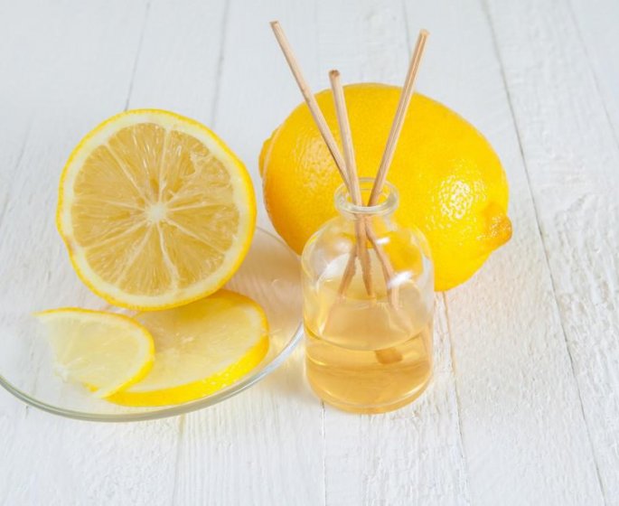 6 purifiants d-interieur naturels