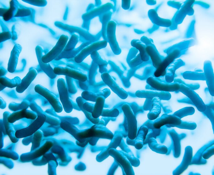 Cholera : le nombre de cas a double en un an
